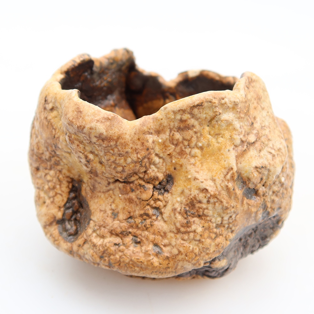 Guscio in ceramica  6 x 5 x 6 cm, colore marrone