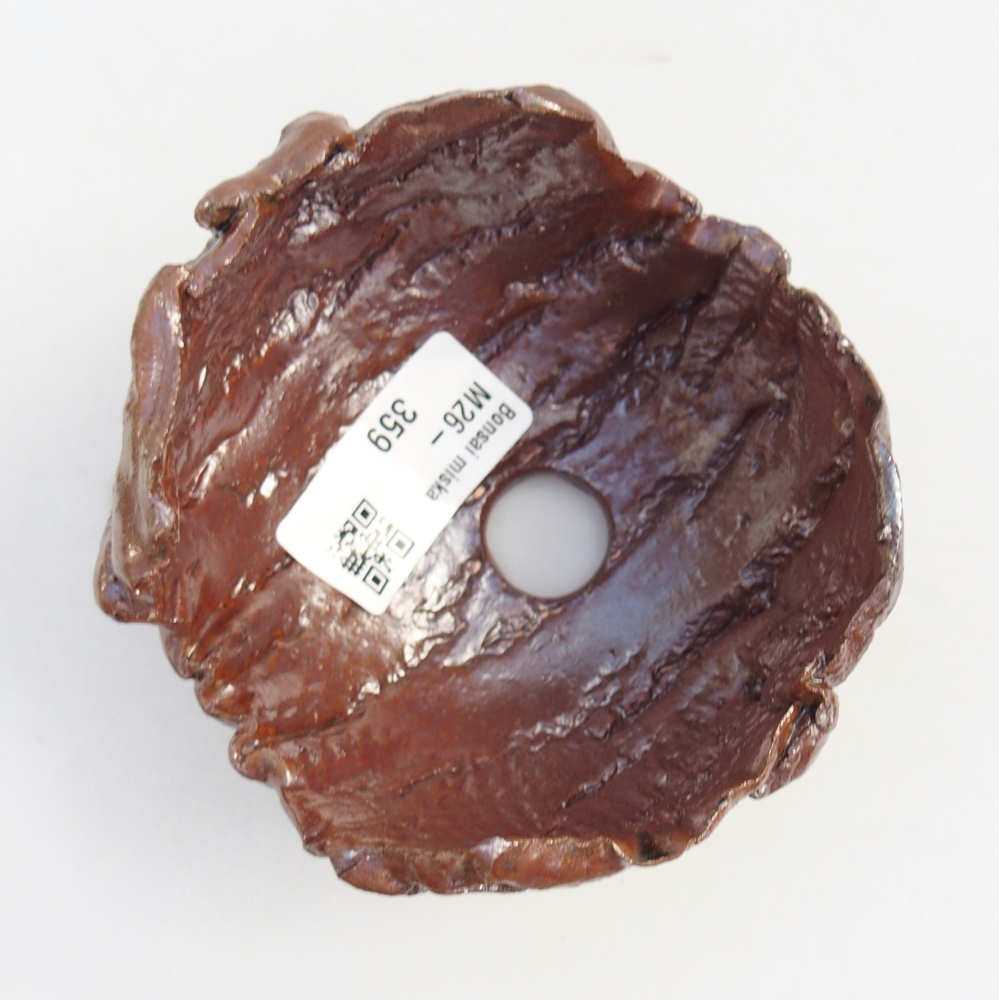 Conchiglia in ceramica 10 x 10 x 7 cm , colore marrone