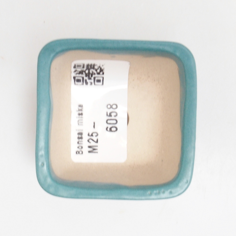 Ciotola bonsai in ceramica 6,5 x 5,5 x 4 cm, colore blu