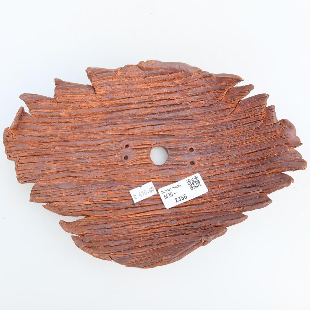 Conchiglia in ceramica  24 x 17 x 6,5 cm, colore marrone