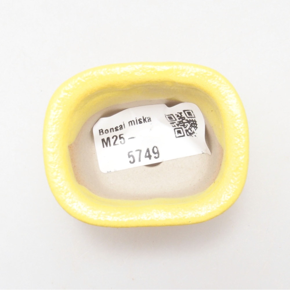 Ciotola bonsai in ceramica 5,5 x 4,5 x 3 cm, giallo