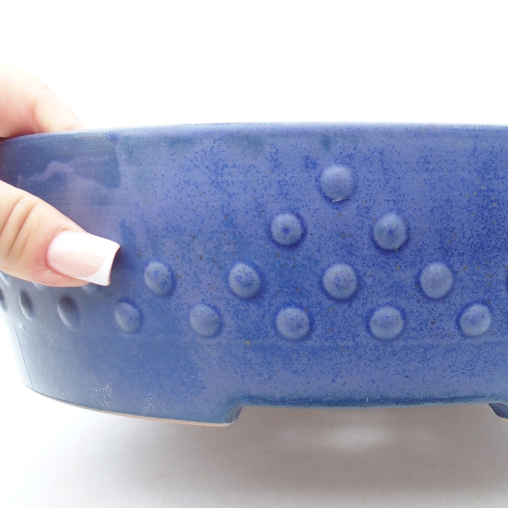 Ciotola bonsai in ceramica 27,5 x 27,5 x 8 cm, colore blu