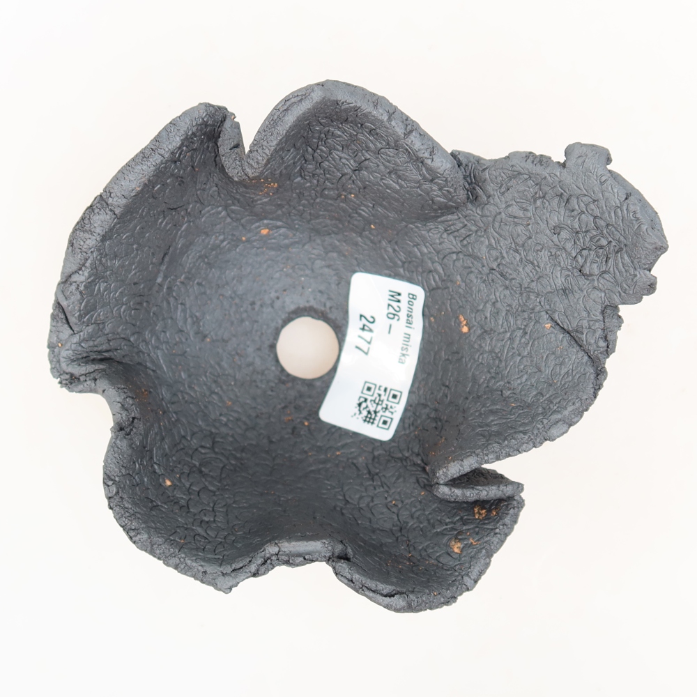 Guscio in ceramica  12,5 x 11 x 7,5 cm, colore metallizzato