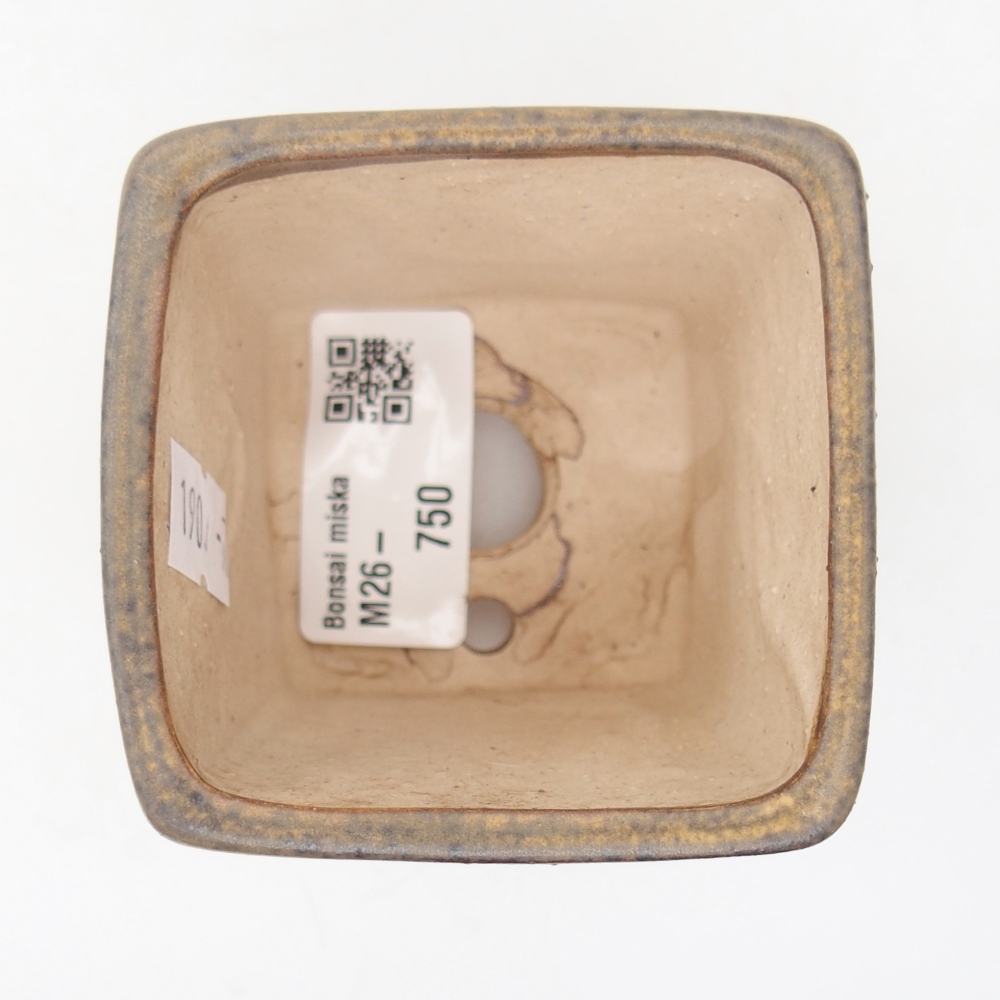 Ciotola per bonsai in ceramica 6,5 x 6,5 x 7 cm, marrone