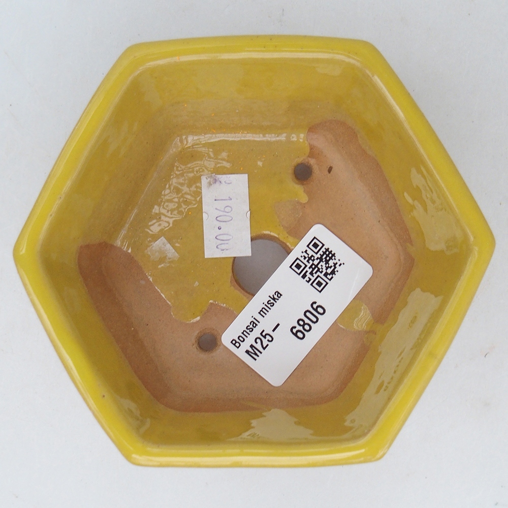 Ciotola bonsai in ceramica 10,5 x 9,5 x 5 cm, giallo