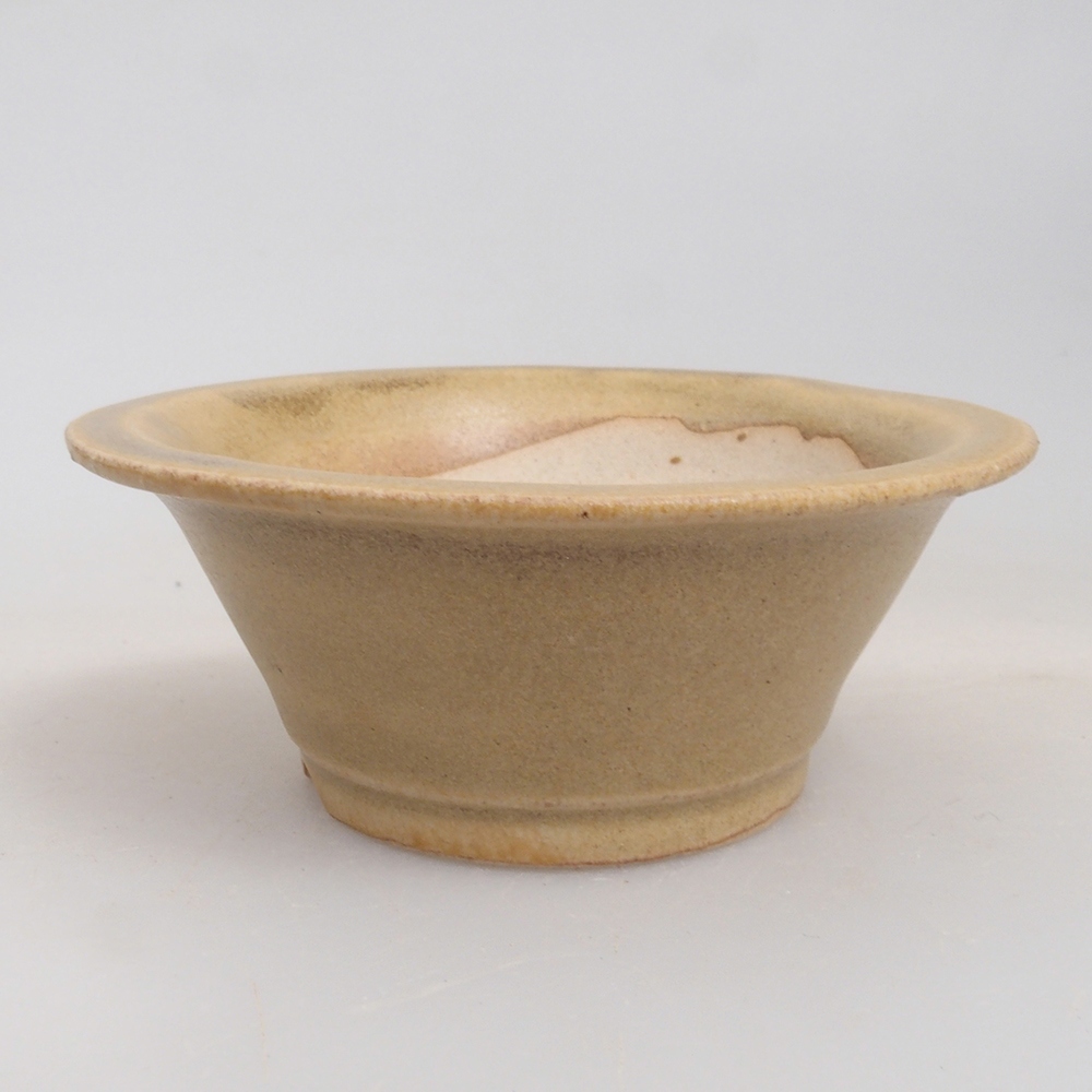 Mini bonsai 7 x 7 x 2,5 cm, marrone