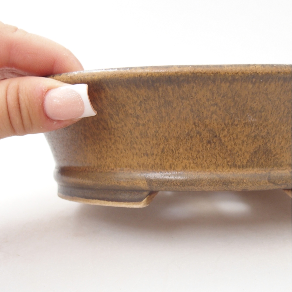 Ciotola per bonsai in ceramica 17,5 x 16 x 4,5 cm, marrone
