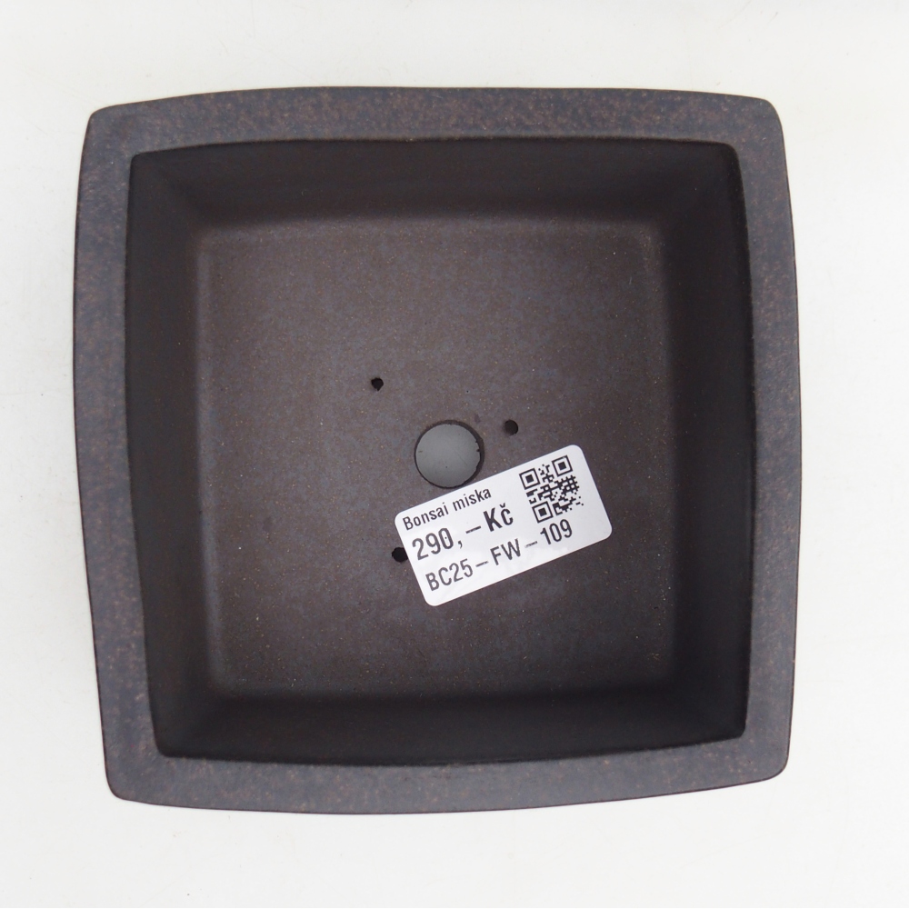 Ciotola per bonsai in ceramica 12 x 12 x 6,5 cm, colore marrone ocra