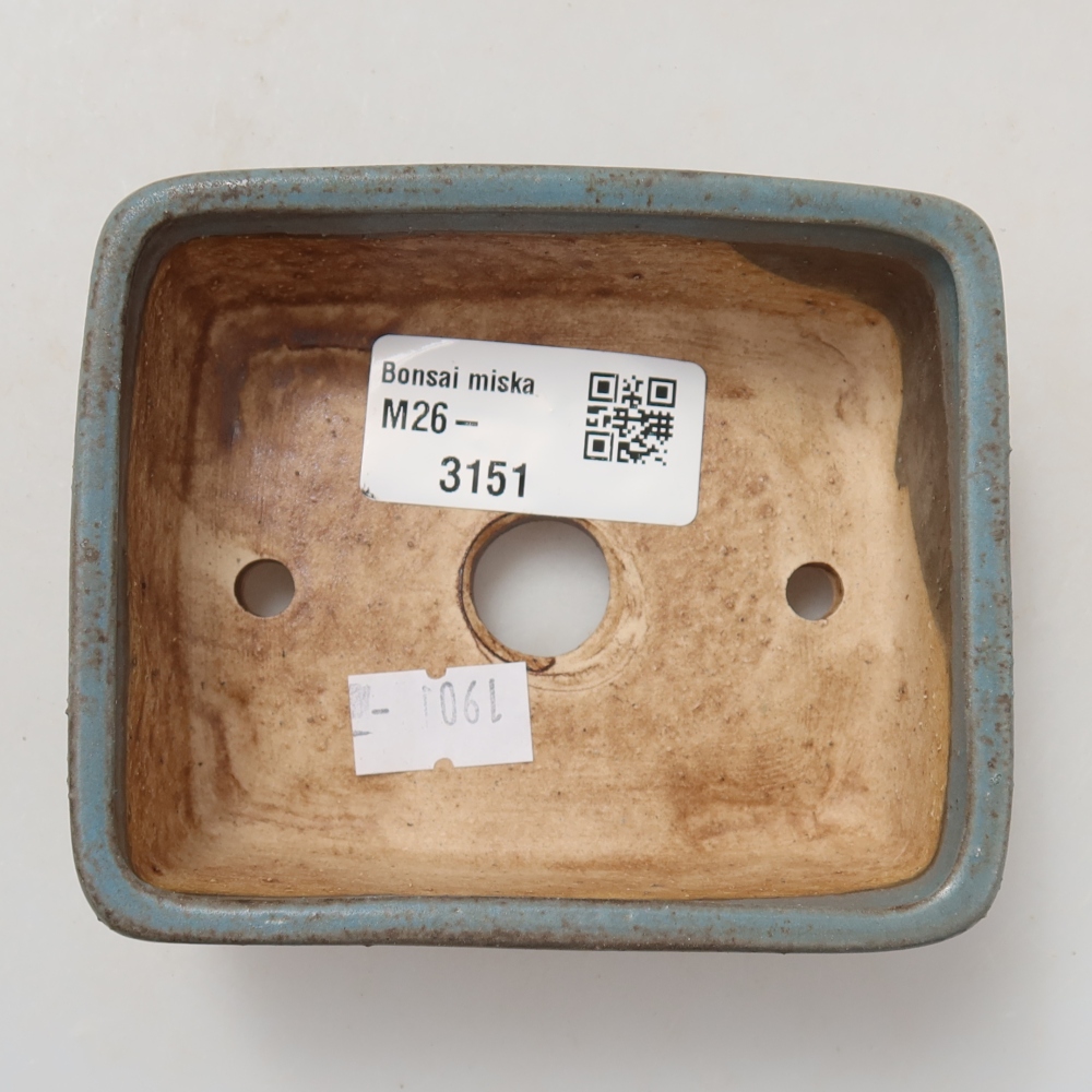 Vaso in ceramica per bonsai 10 x 8 x 3,5 cm, colore blu