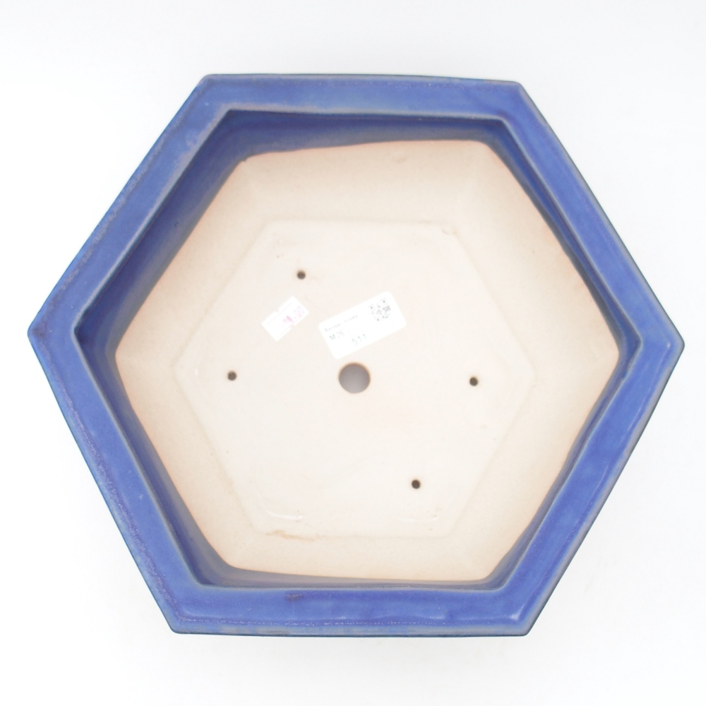 Ciotola bonsai in ceramica 28 x 24,5 x 9 cm, colore blu