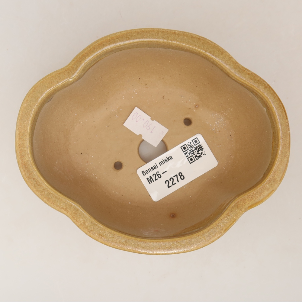 Vaso da bonsai in ceramica 12,5 x 10,5 x 4,5 cm, colore beige