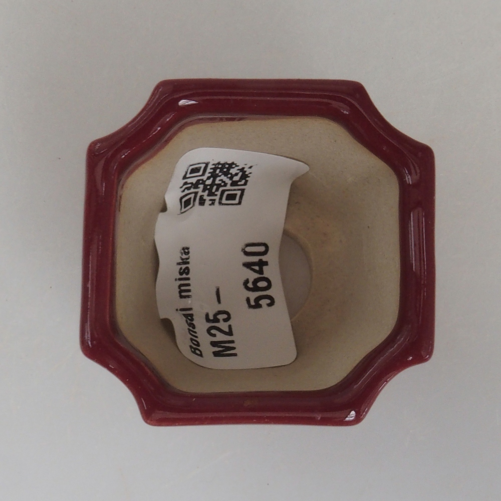 Ciotola per mini bonsai 4 x 4 x 4 cm, bordeaux