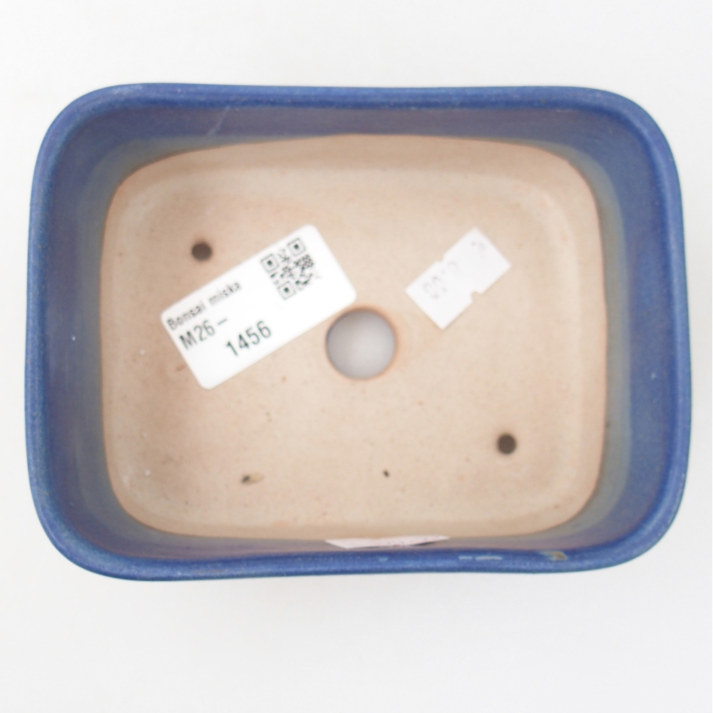 Ciotola per bonsai in ceramica 12,5 x 9,5 x 5 cm, colore blu