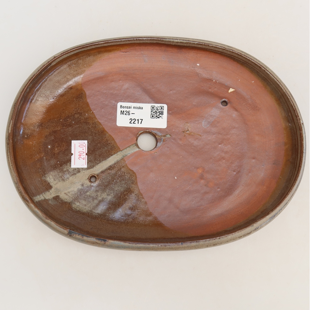 Ciotola per bonsai in ceramica 22,5 x 16,5 x 3 cm, marrone