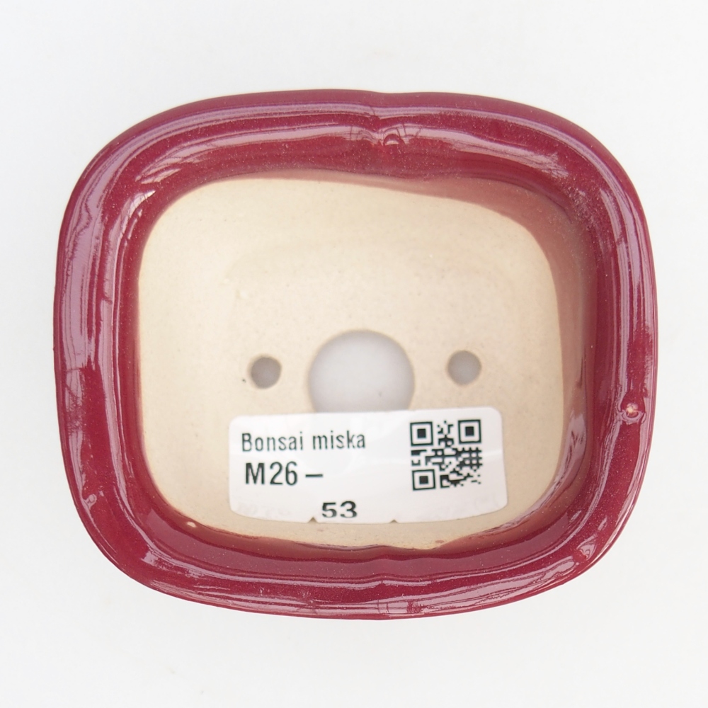 Mini bonsai 7,5 x 6,5 x 3,5 cm, bordeaux
