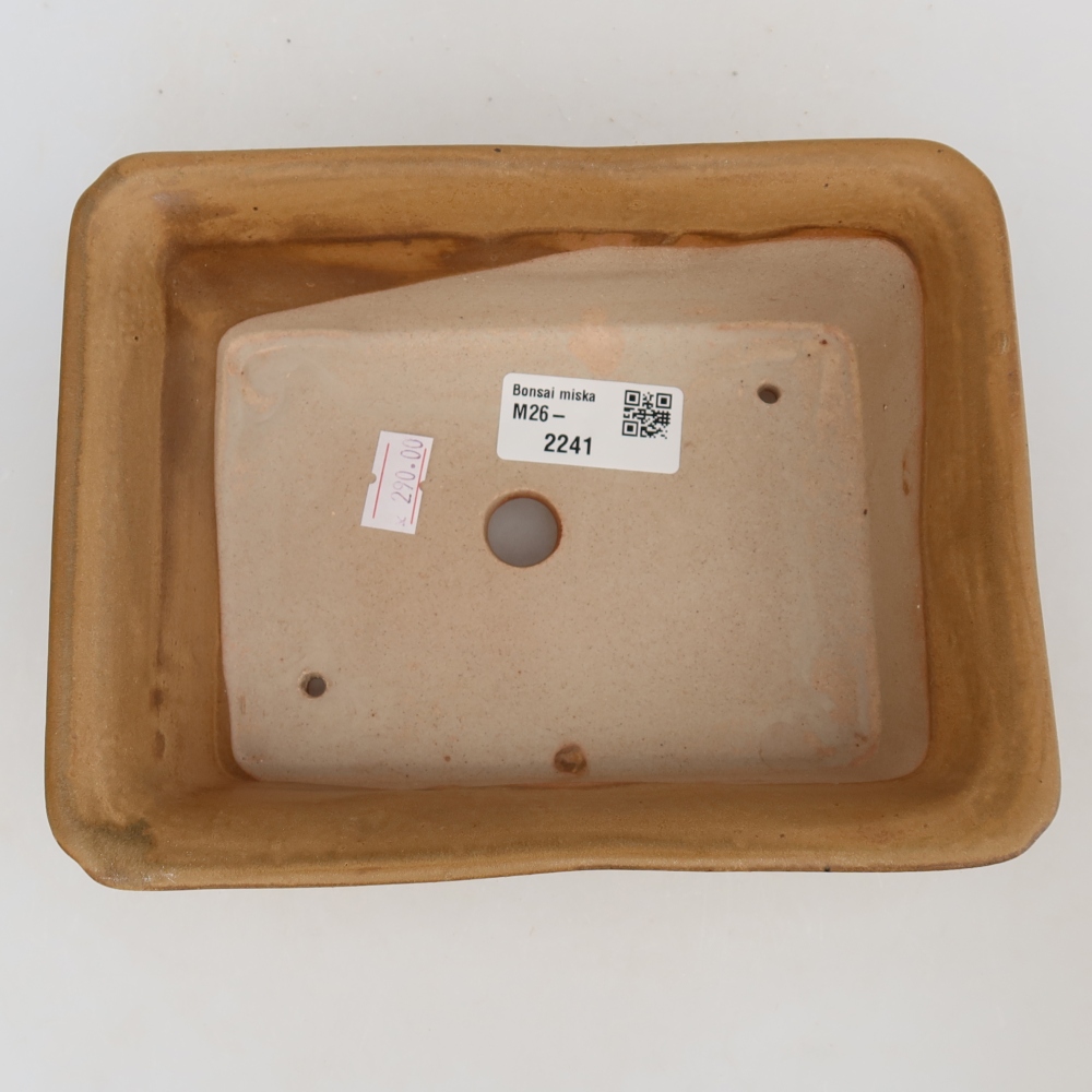 Vaso da bonsai in ceramica 18 x 14 x 7 cm, colore beige