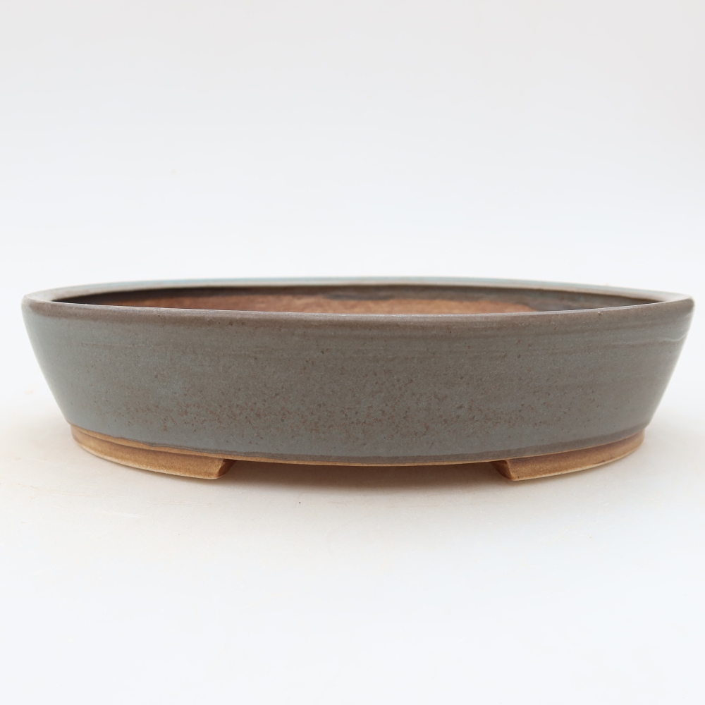 Vaso da bonsai in ceramica 21 x 19 x 4,5 cm, colore blu