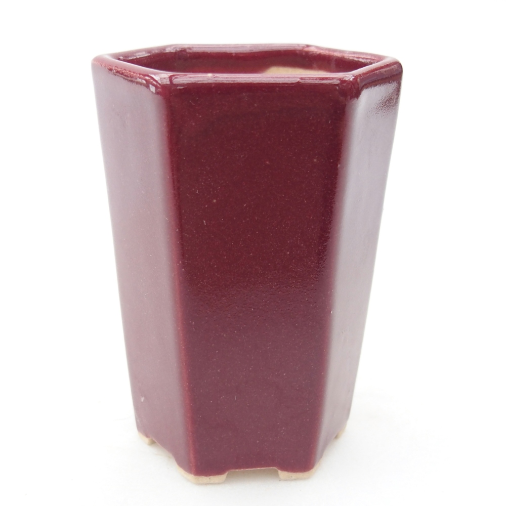 Ciotola per mini bonsai 5 x 4,5 x 6,5 cm, bordeaux