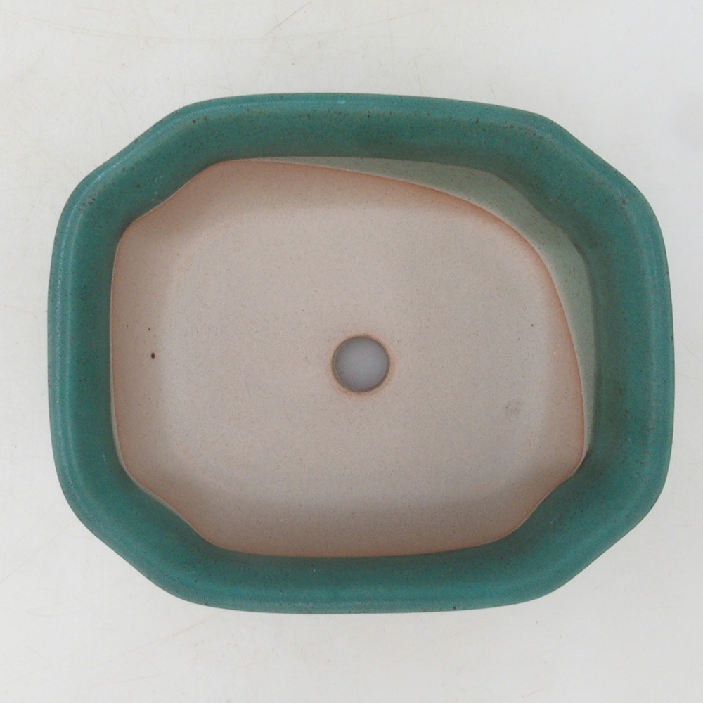 Ciotola per bonsai H31 - 14 x 12 x 5,5 cm - verde