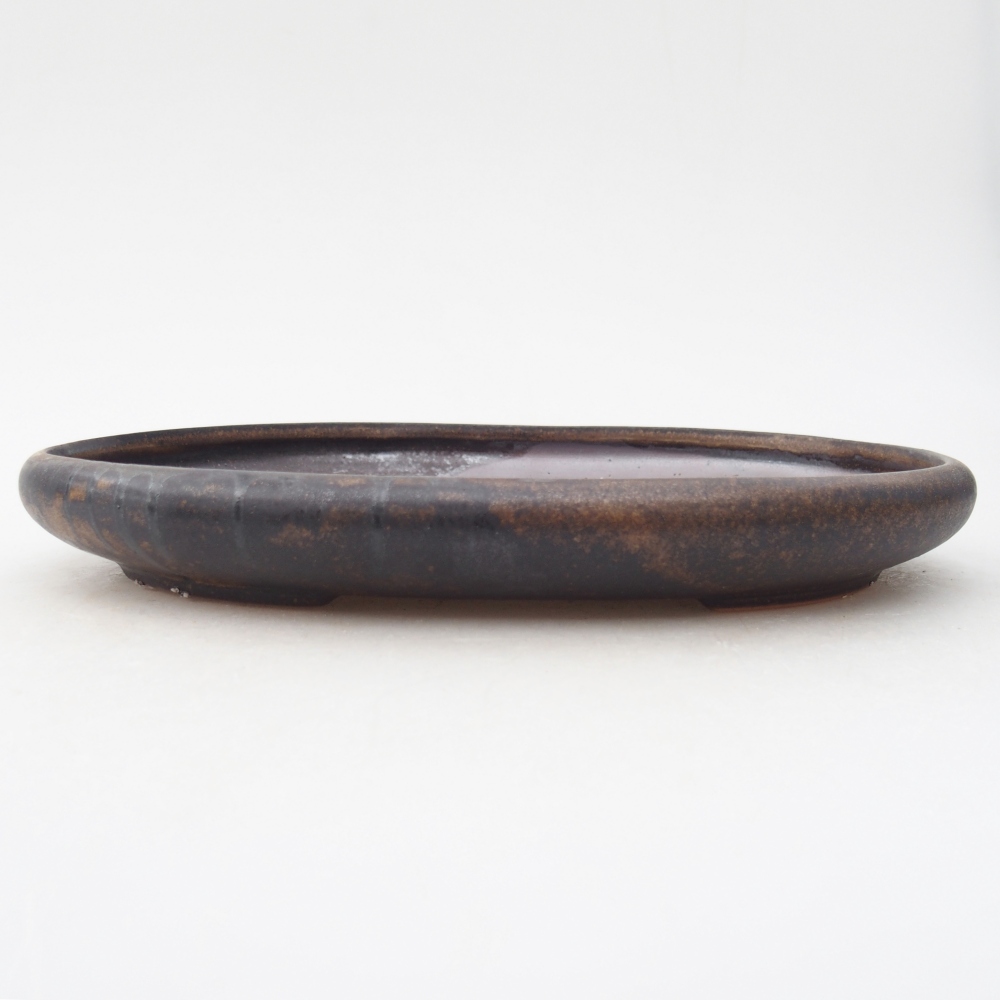 Ciotola per bonsai in ceramica 22,5 x 16,5 x 3 cm, marrone
