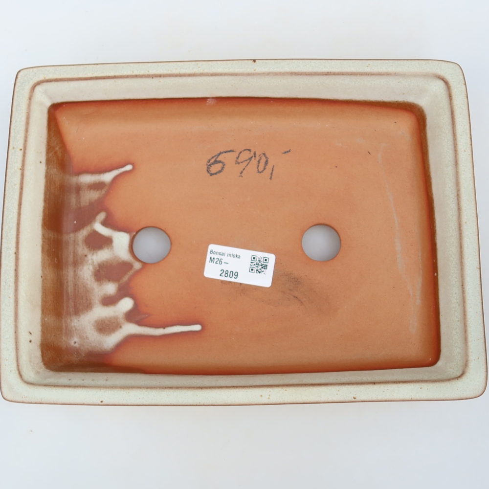 Ciotola in ceramica  26 x 19,5 x 5,5 cm, colore beige