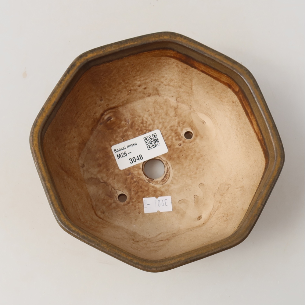 Vaso da bonsai in ceramica 17 x 16 x 6,5 cm, colore marrone