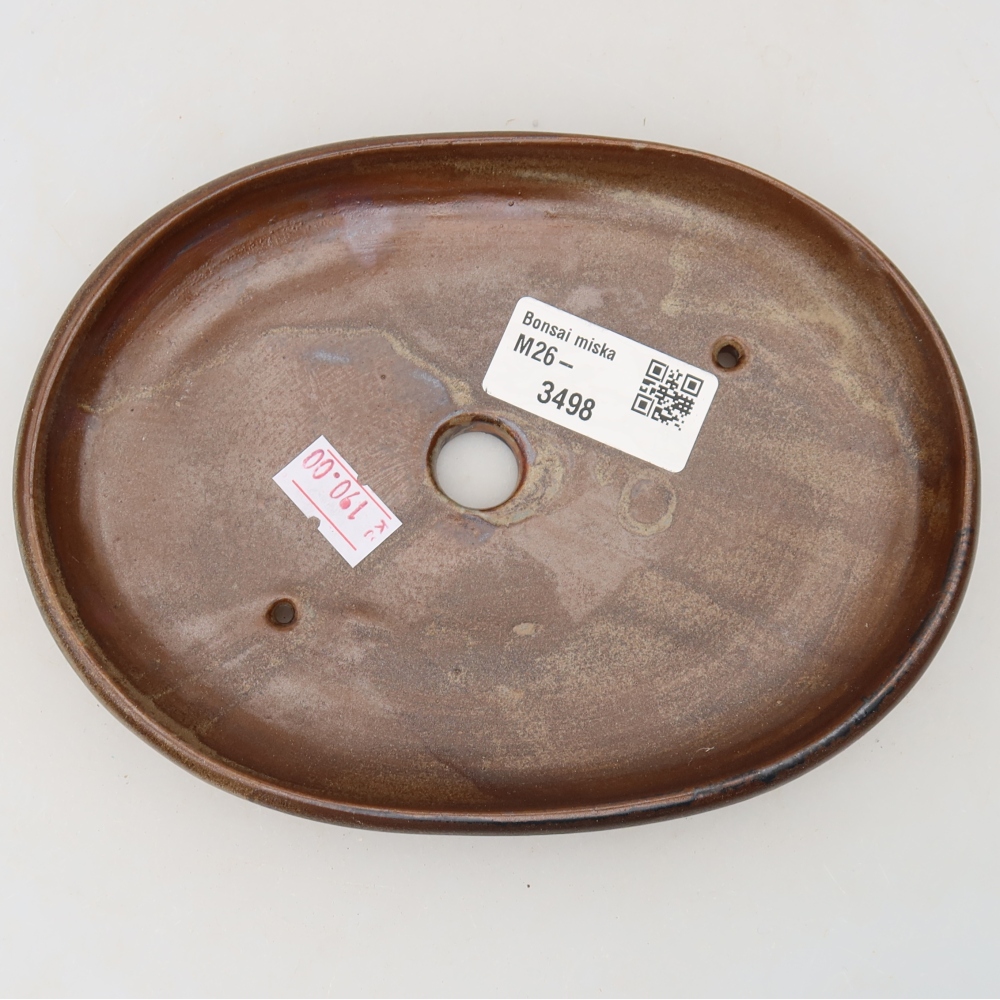 Vaso in ceramica per bonsai 17 x 12 x 2,5 cm, colore marrone