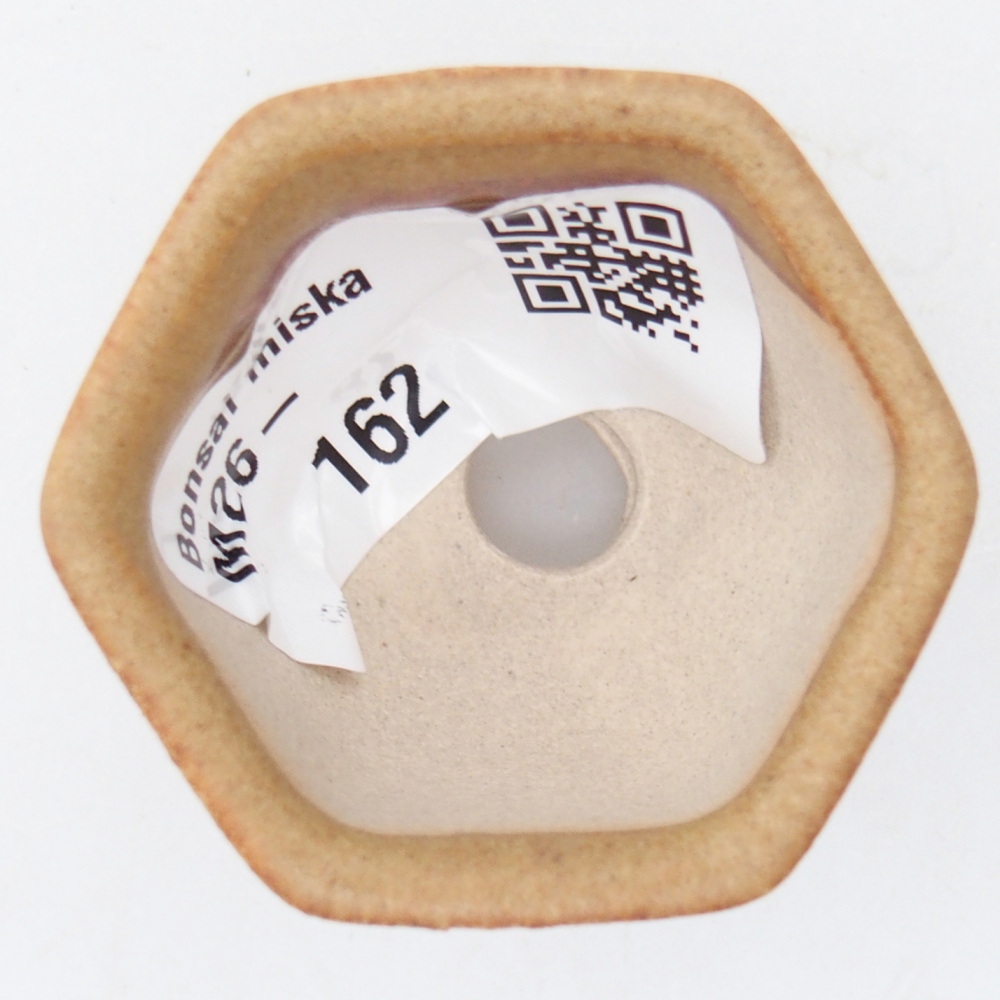 Ciotola per mini bonsai 4 x 3,5 x 3 cm, marrone