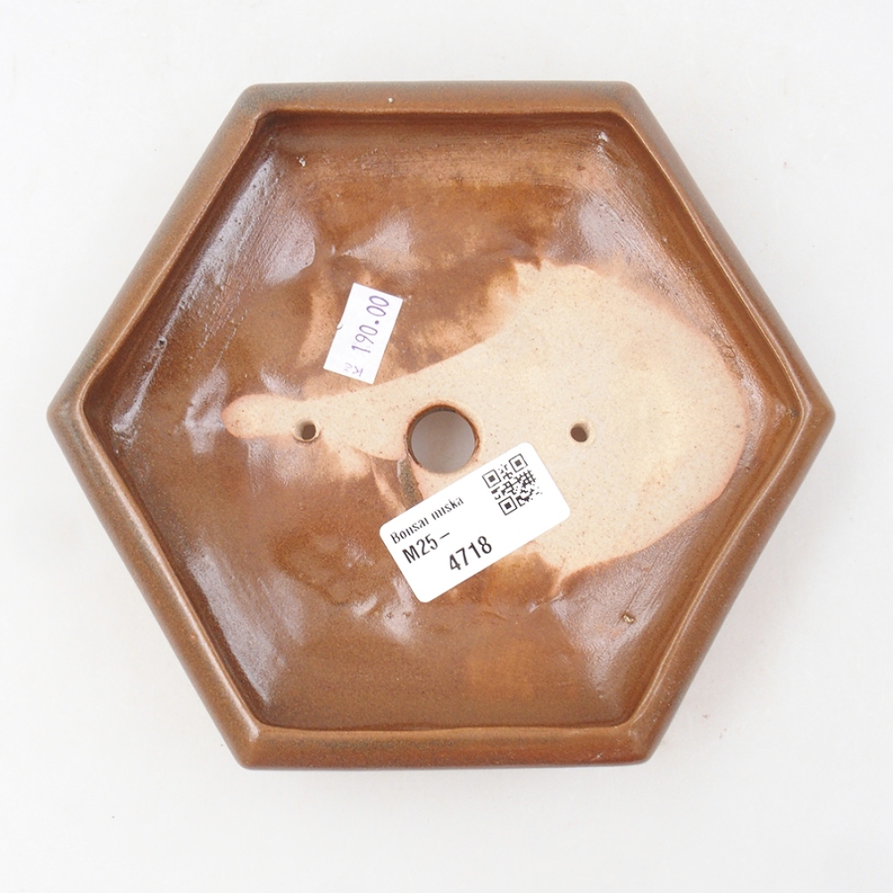 Ciotola per bonsai in ceramica 17 x 15 x 4 cm, marrone