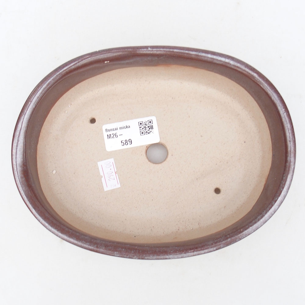 Ciotola bonsai in ceramica 19 x 14 x 5 cm, marrone