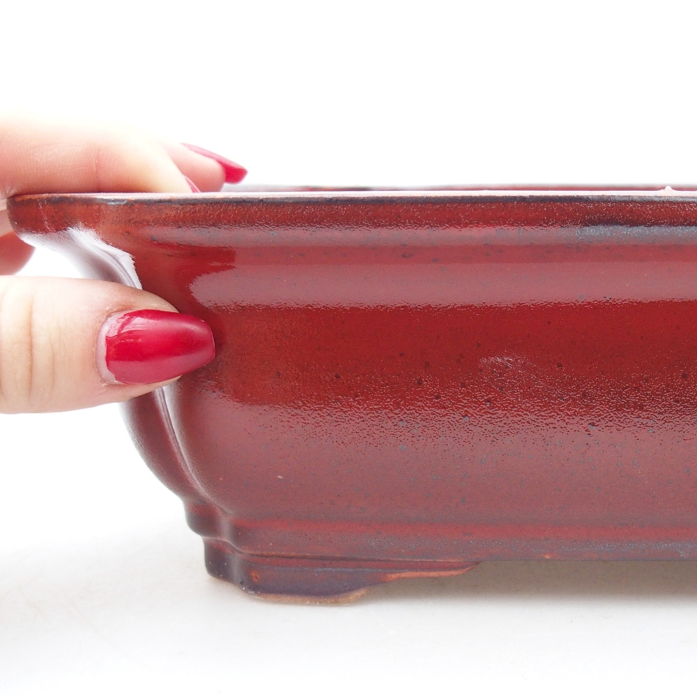 Ciotola bonsai in ceramica 28 x 22 x 7 cm, colore rosso
