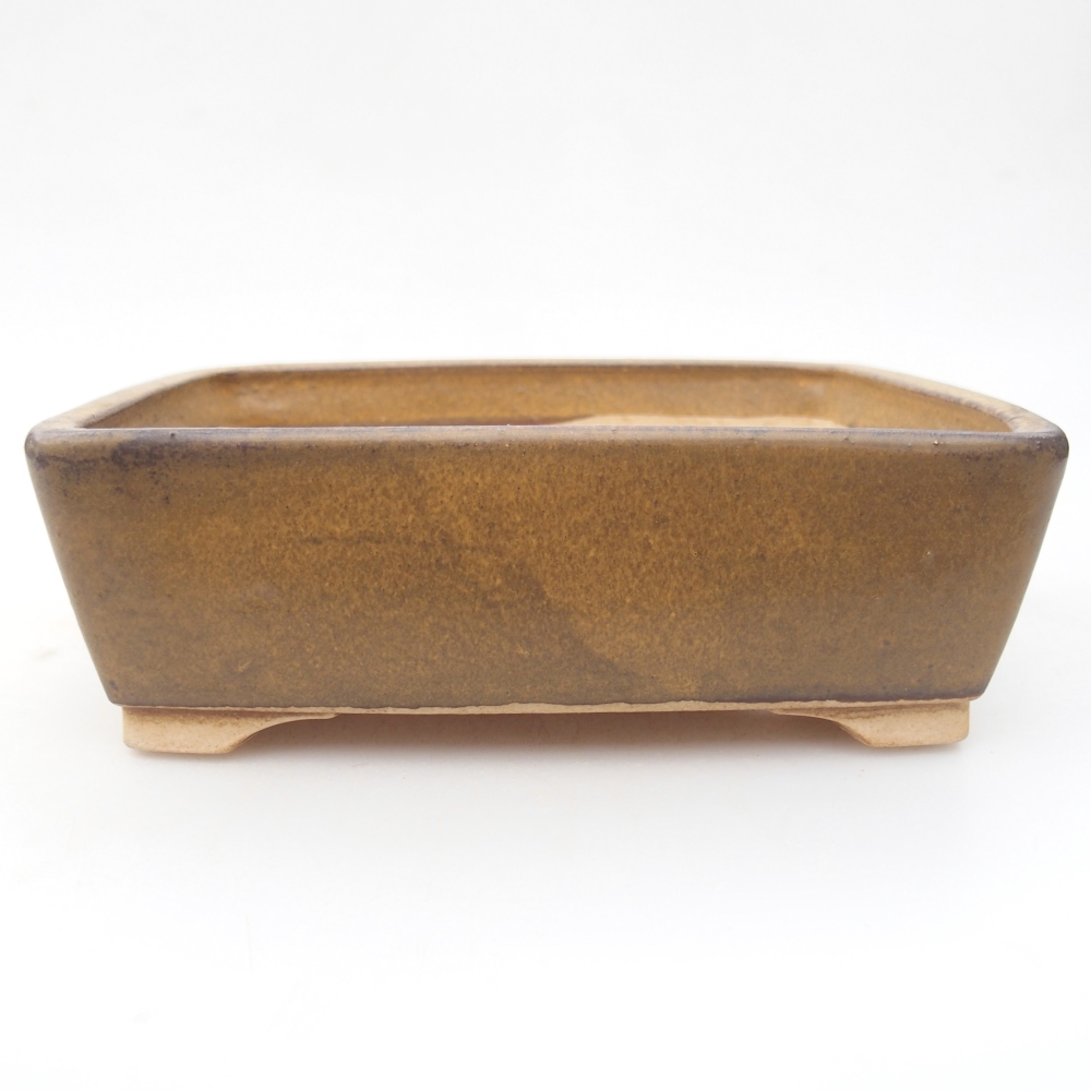 Ciotola per bonsai in ceramica 15 x 12 x 5 cm, marrone