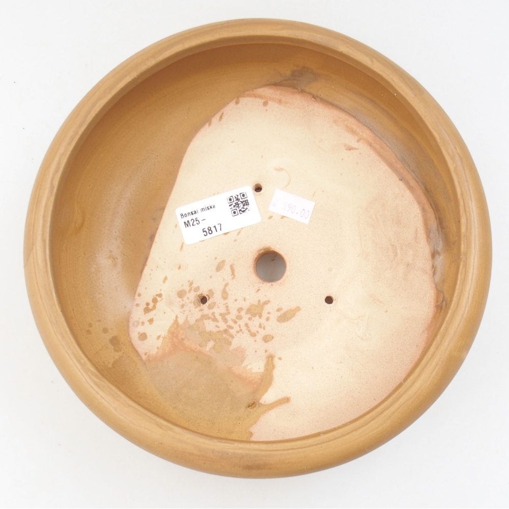 Ciotola bonsai in ceramica 21 x 21 x 7,5 cm, colore beige