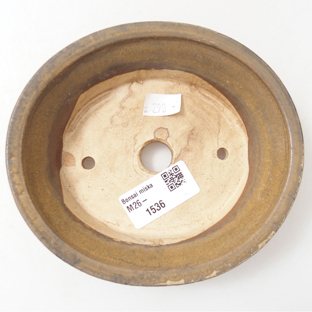 Ciotola per bonsai in ceramica 14 x 12,5 x 4 cm, marrone