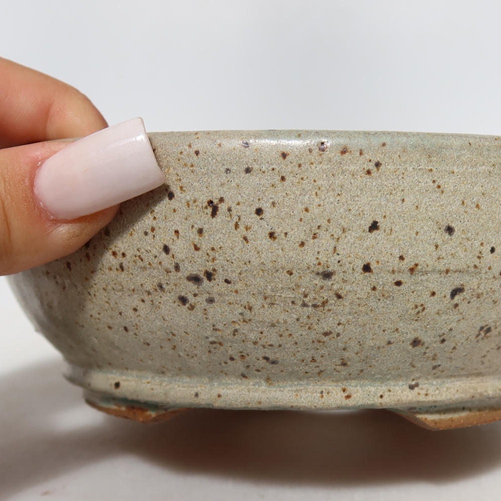 Ciotola bonsai in ceramica 14,5 x 14,5 x 5,5 cm, colore beige