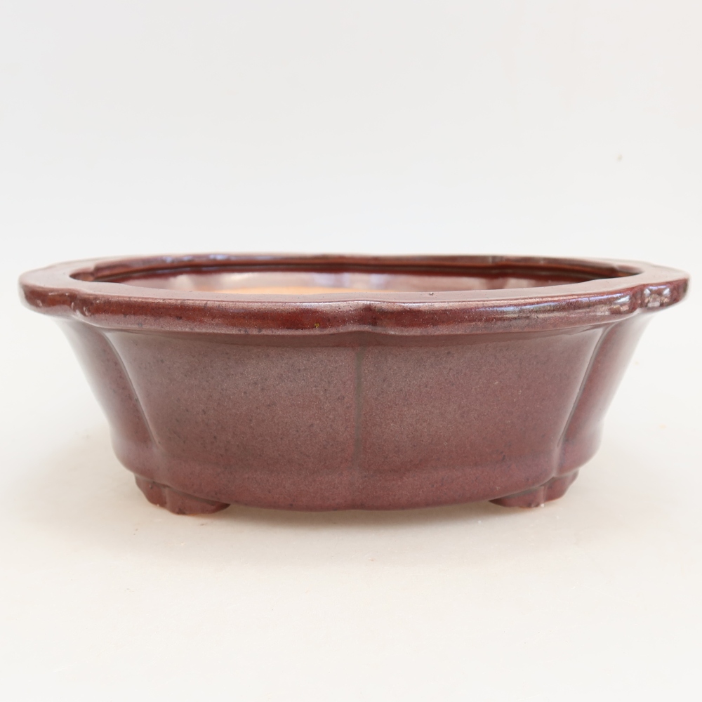 Ciotola bonsai in ceramica 26 x 26 x 8 cm, bordeaux