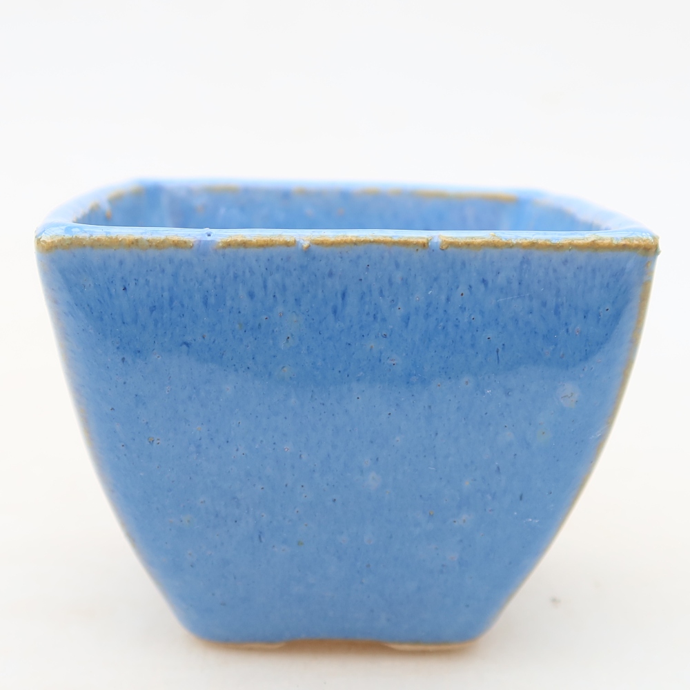 Ciotola bonsai in ceramica 5,5 x 5,5 x 4,5 cm, colore blu