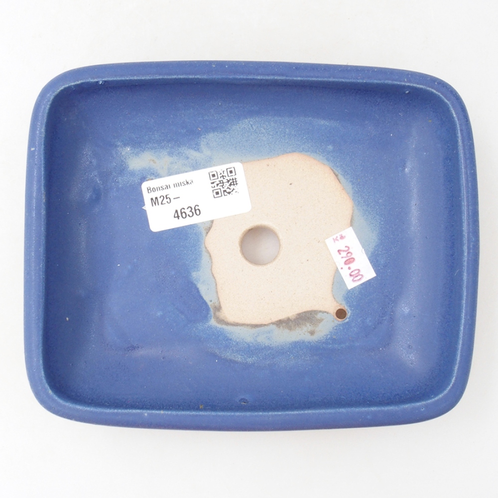 Ciotola bonsai in ceramica 17 x 13,5 x 3,5 cm, colore blu