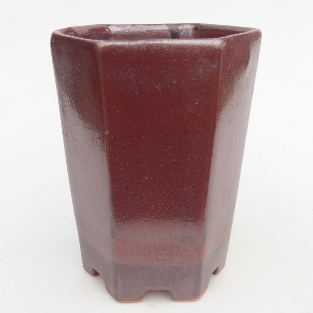 Ciotola bonsai in ceramica 12,5 x 11,5 x 16,5 cm, bordeaux