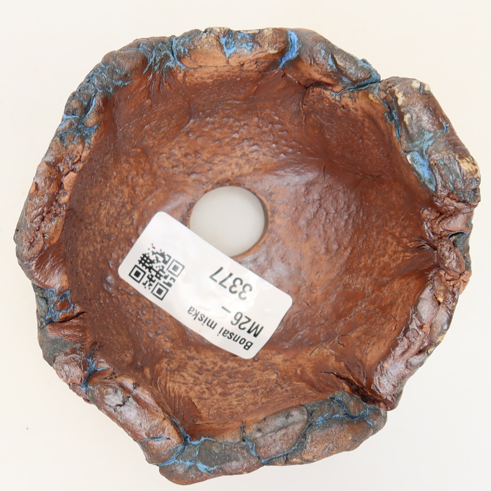 Conchiglia in ceramica 9 x 9 x 6 cm , colore blu