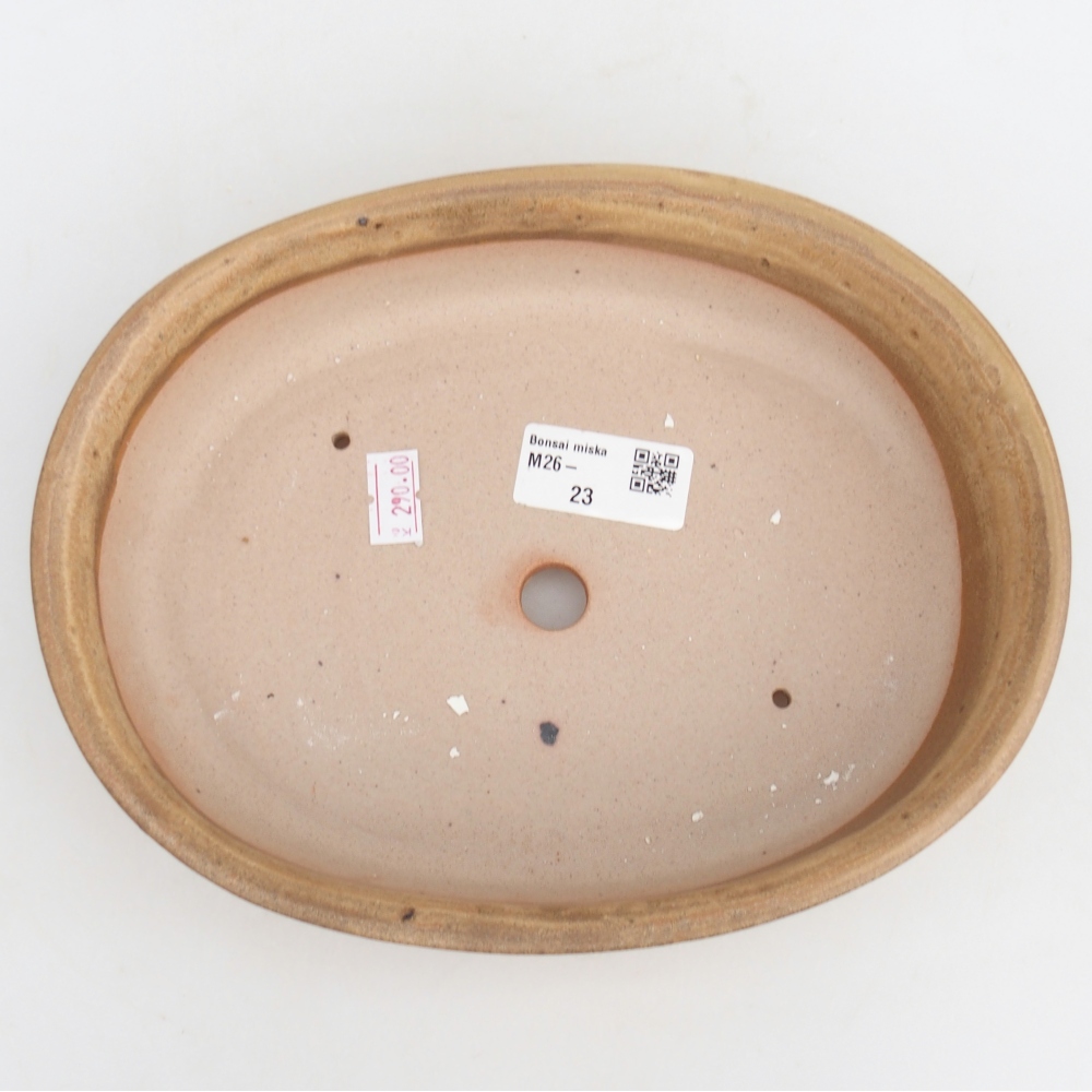 Ciotola per bonsai in ceramica 21,5 x 17 x 5 cm, colore beige
