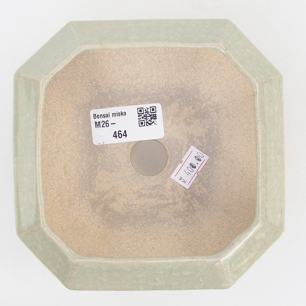 Ciotola bonsai in ceramica 13,5 x 13,5 x 7,5 cm, verde