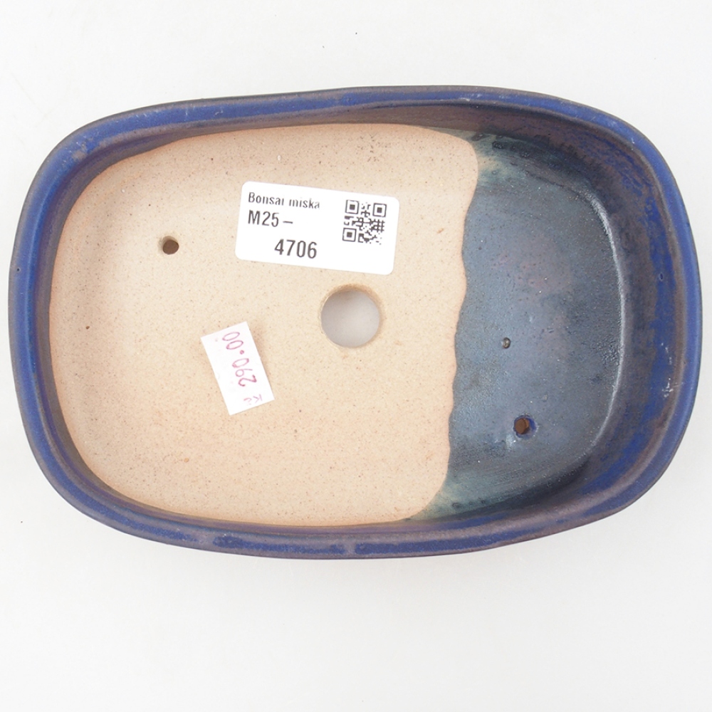 Ciotola bonsai in ceramica 16 x 11 x 3,5 cm, colore blu