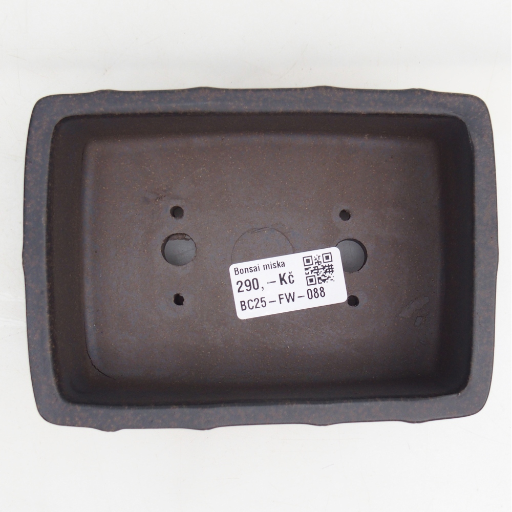 Ciotola per bonsai in ceramica 15 x 10,5 x 5 cm, colore marrone ocra