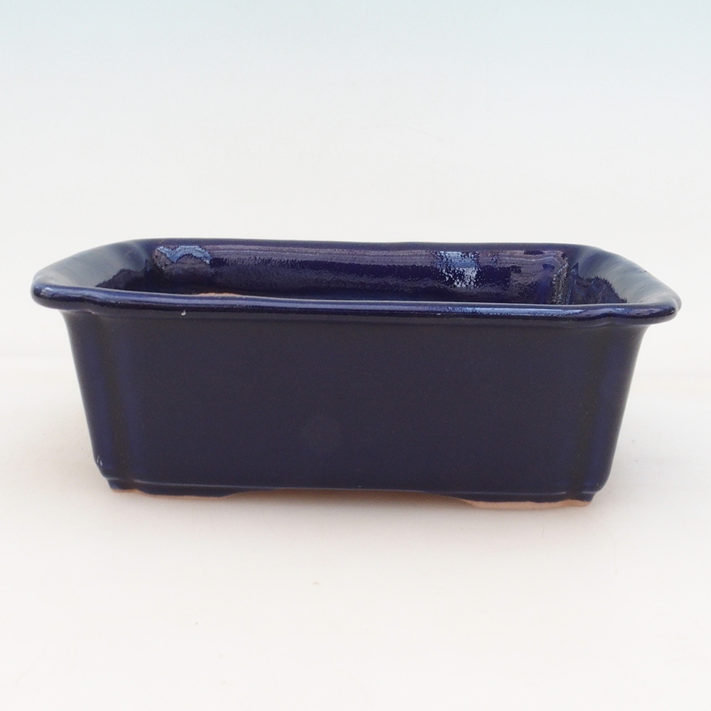 Ciotola per bonsai H50 - 17 x 12,5 x 5,5 cm - blu