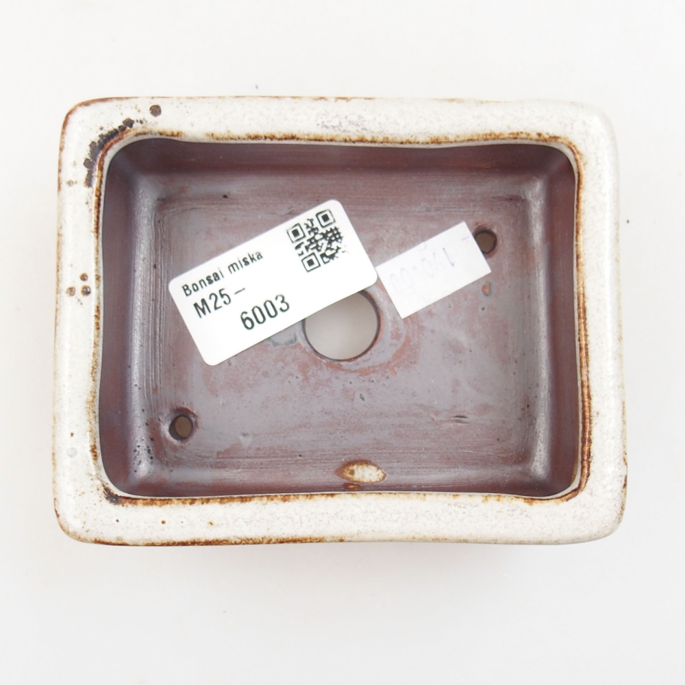 Ciotola bonsai in ceramica 22 x 17 x 5 cm, verde