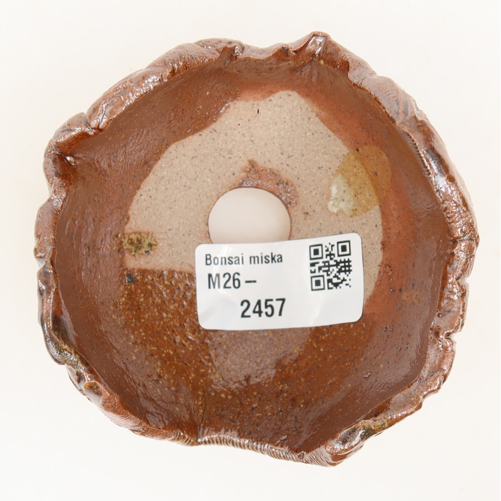 Conchiglia in ceramica 9 x 8 x 6 cm , colore marrone