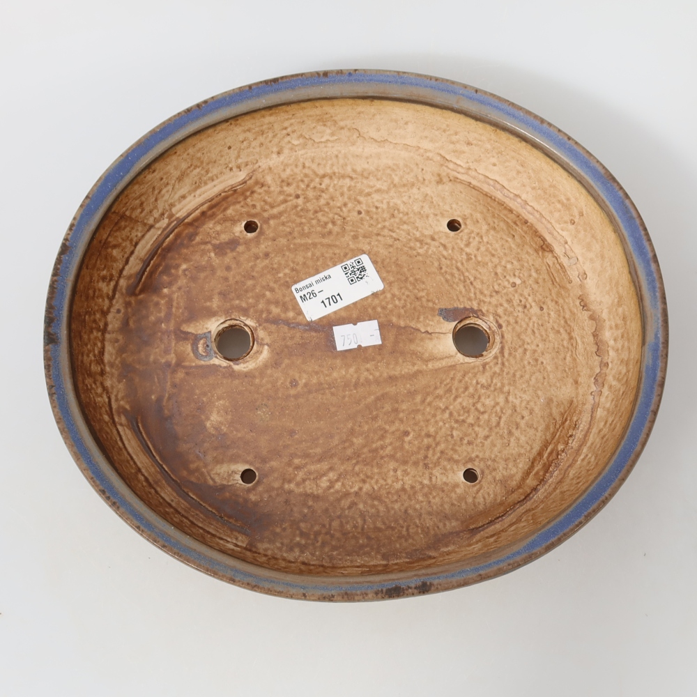 Ciotola bonsai in ceramica 26,5 x 24 x 5,5 cm, colore blu