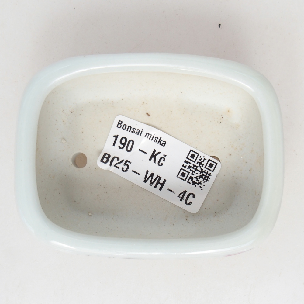 Mini bonsai 8 x 6 x 3 cm, bianco