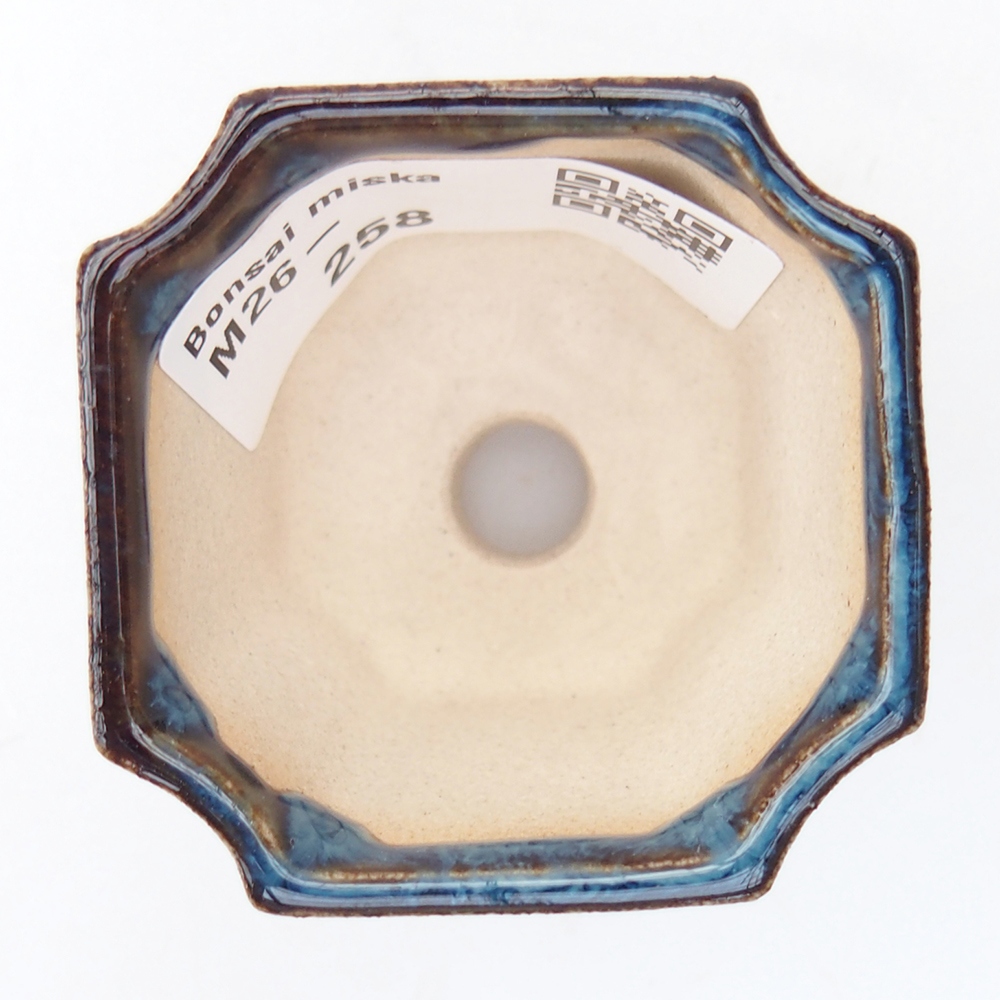 Mini bonsai 4,5 x 4,5 x 4 cm, colore blu